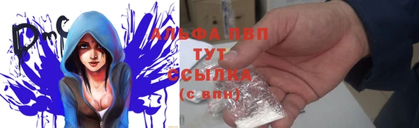a pvp Медвежьегорск