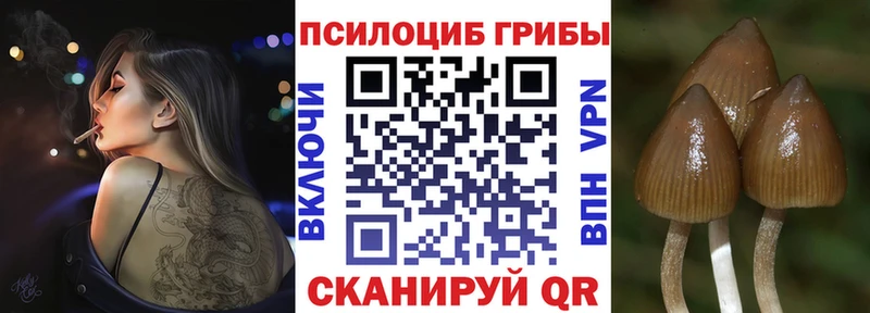 Купить Называевск Псилоцибиновые грибы MAGIC MUSHROOMS